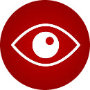 A RFG eye icon that describes focus for RFG.